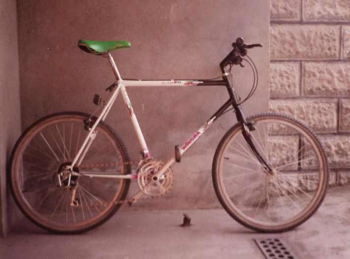   Ohne Geld ist Freiheit nichts weiter als ein Wort mit acht Buchstaben. Es sei denn, man besitzt ein Mountainbike. Mit diesem Winora Power Pro, gekauft am Tag der Währungsunion, erlebte unser in der DDR aufgewachsener Autor zum ersten Mal in seinem Leben echte, grenzenlose Freiheit. 