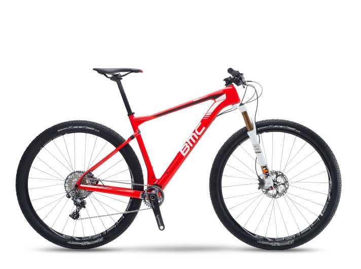   Die XX1-Version des BMC Teamelite 01. Es soll 9,1 Kilo wiegen.
