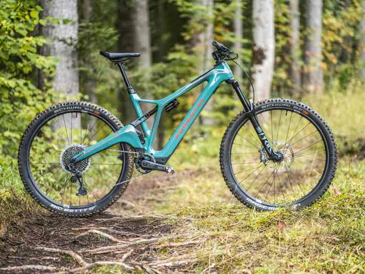 Forestal Siryon Neon