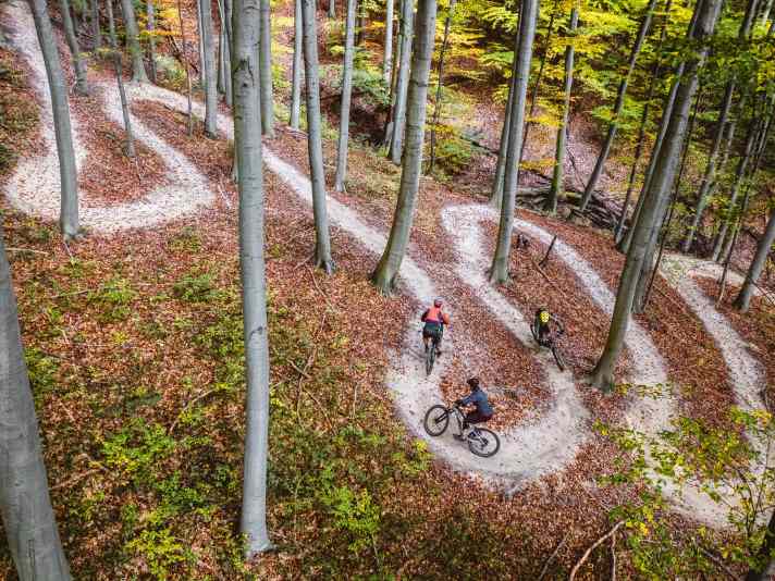 Wienerwald-Trails