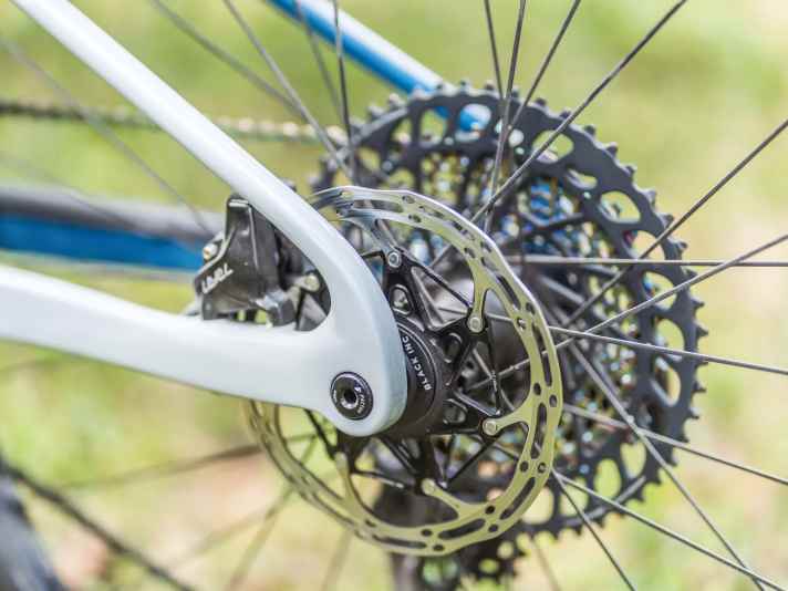 Die kleine 160er-Scheibe am Heck spart zwar viel Gewicht an einem Racebike, eignet sich im Trail-Einsatz aber kaum für lange und steile Abfahrten.