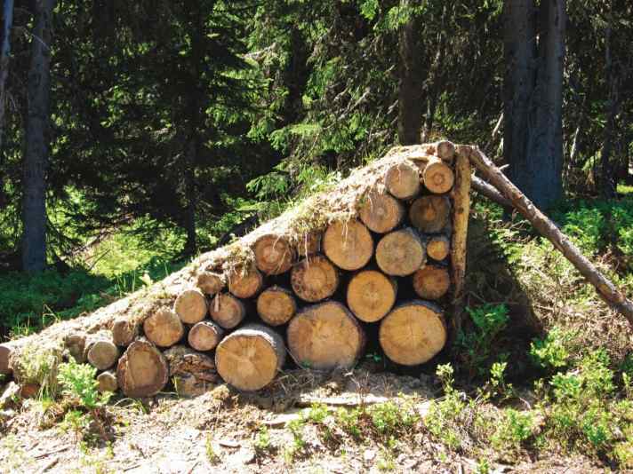   Sicher auf Flughöhe: Lange, breite Absprünge geben Vertrauen und schanzen den Biker kontrolliert durch die Luft. Besonders gelungen, wenn als Step-up gebaut (Schladming).
