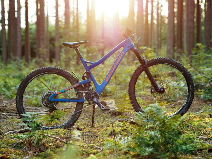   Propain Tyee AM CF Trail