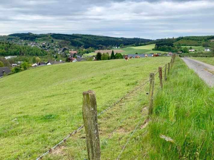 Typisch für heute: Wald, Kühe, Windräder und Höhenmeter bergauf.