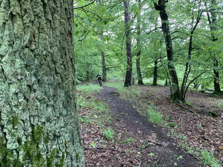Auf dem Fellingshausen-Trail.