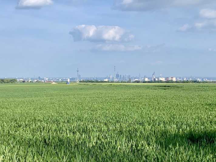 Auf den letzten Kilometern der Königsetappe mit Blick auf die Skyline von Frankfurt.