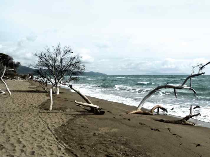   Naturpark Maremma