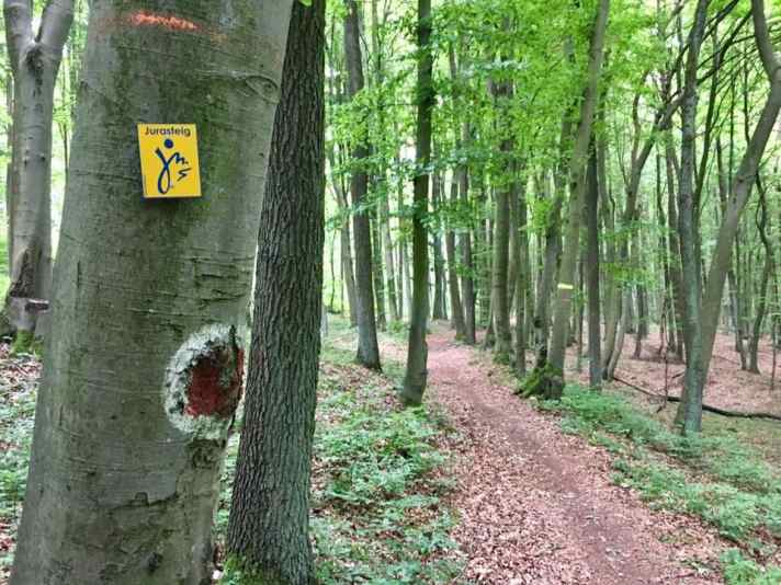   Die letzten Meter bis Bad Abbach gings auf dem Jurasteig entlang.