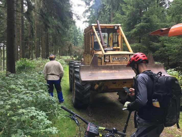   Durch Holzarbeiten entstehen im Wald regelmäßig neue Wege. Auch die Unterlassungsklage in diesem Fall bezog sich auf einen Weg, der von einem schweren Gefährt in den Wald gefräst wurde.