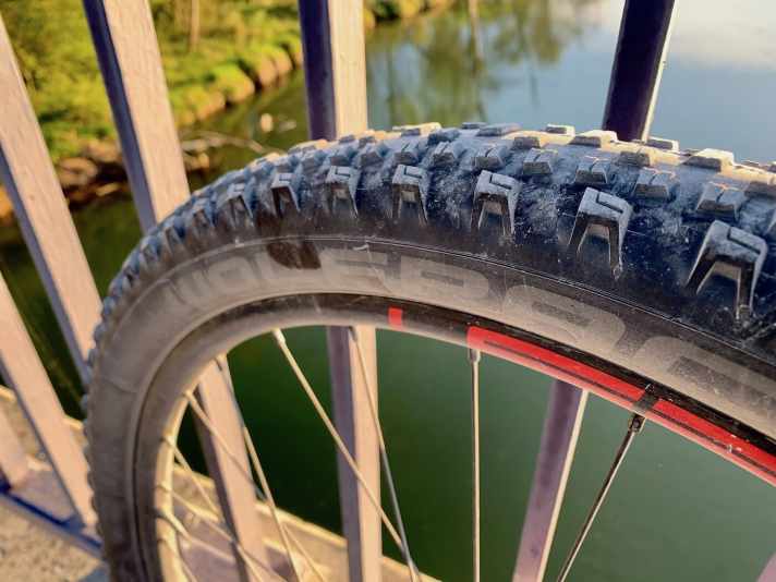   Eine sichere Bank in Sachen Traktion und Pannenschutz: der Wolfpack Race MTB nach 800 Kilometern am Hinterrad. Auch die Langlebigkeit ist sehr gut, kaum Verschleiß zu sehen.