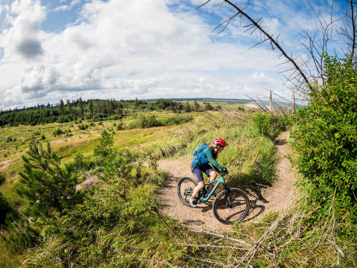 Typisch Trailcenter: eng gelegte Uphill-Kurven. Mit der Wendigkeit des Joplins gar kein Problem.