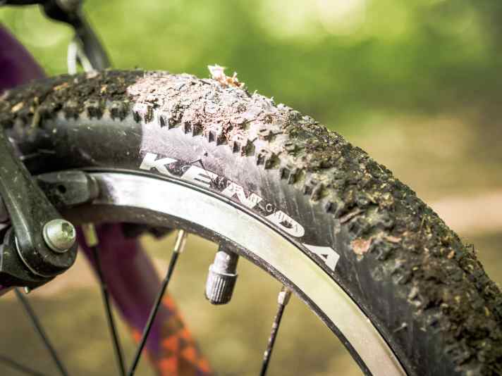 Kenda Small Block 8: der Klassiker an Kinderbikes ist auch gut für erste Gelände-Einsätze.