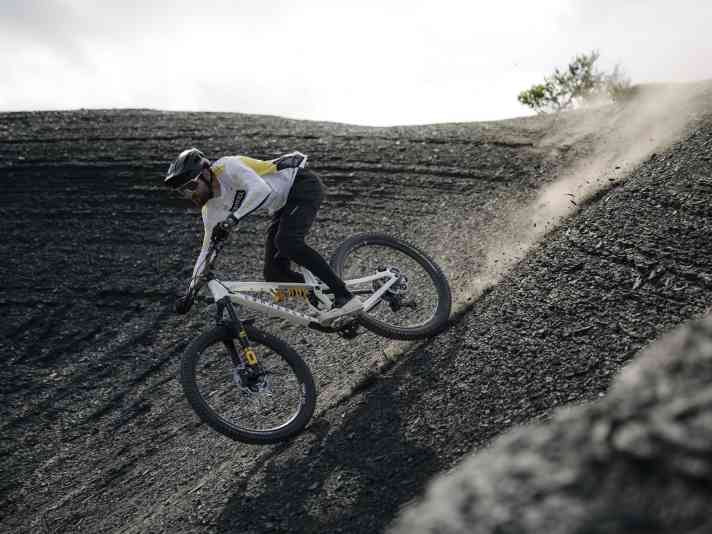 Schwalbe Albert Radial