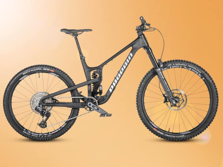 Mit beeindruckender Mehrheit wählten die BIKE-Leser das Propain Tyee zum Enduro Bike Of The Year.