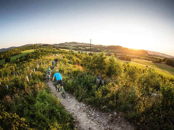 Trailground  Brilon