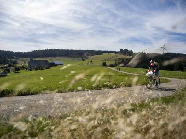Hochplateau am Rohhardsberg
