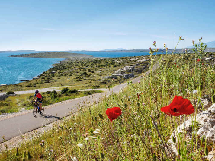 Landzunge oder Insel? Im Archipel rund um die Stadt Zadar ist die Adria zumindest immer nah