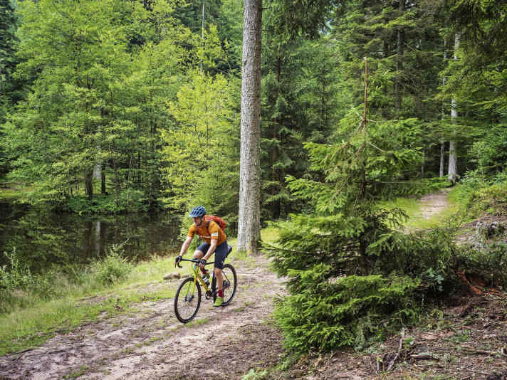 Radreise: Mit dem Gravelbike sind die Wege am Etang de Coucou gut zu bewältigen.
