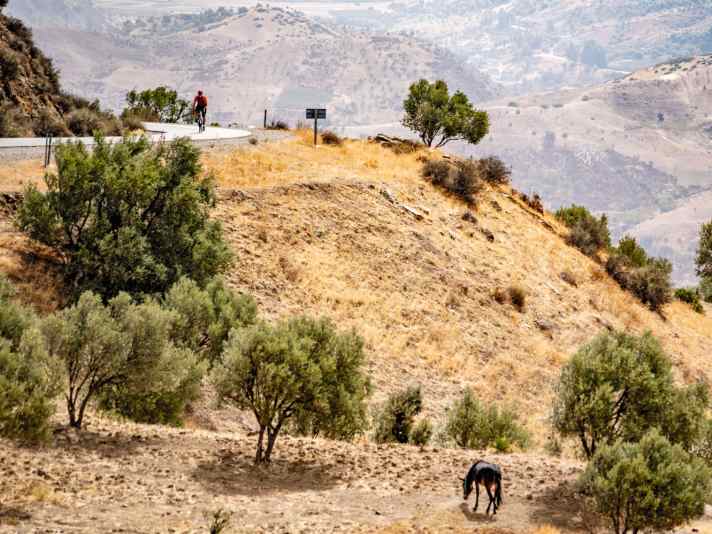 Die mit mehr als 2000 Höhenmetern gespickte Königsetappe (Tour 4) klettert südlich von Chefchaouen durch Ausläufer des Rif-Gebirges