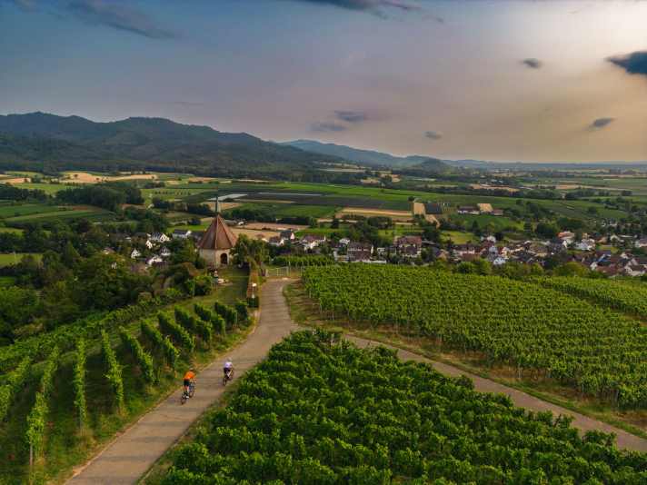 Kurze Anstiege führen durch die Weinberge des Markgräflerlandes. Wer länger klettern will, ­
wird östlich davon im Schwarz­wald fündig
