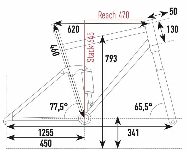 Rotwild R.X 735 Pro - Geometriedaten