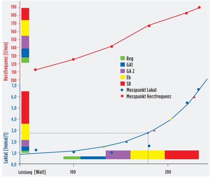 Grafik des Verlaufs einer Leistungsdiagnostik
