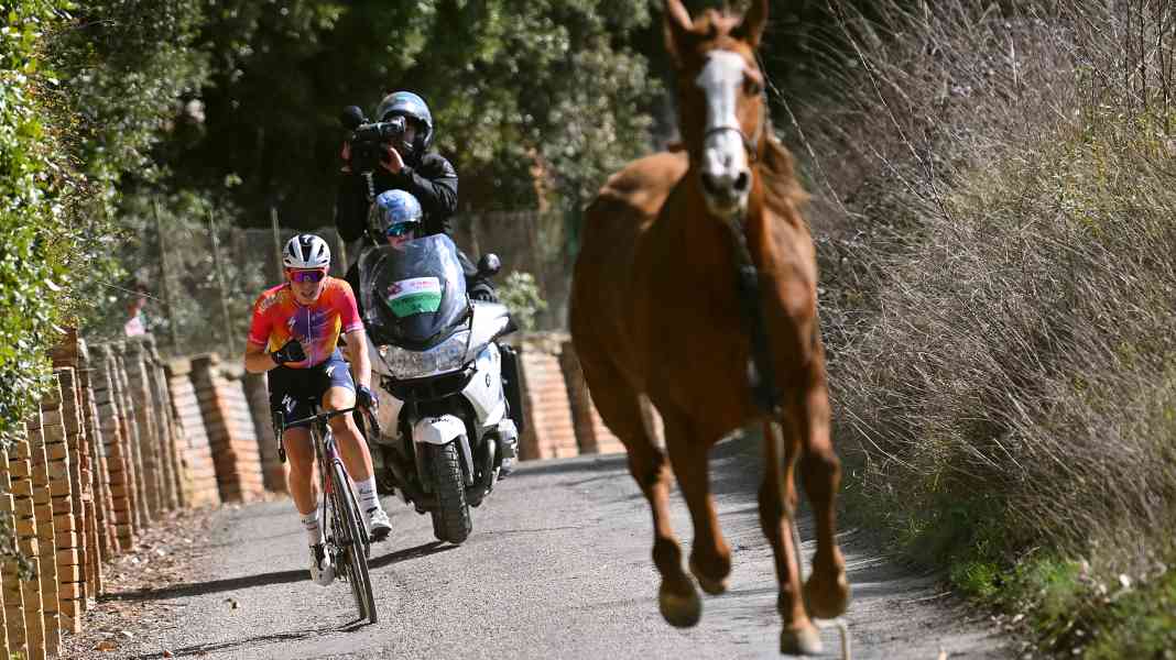 Strade Bianche: Pferd sorgt für Hektik - Vollering siegt im Damenrennen