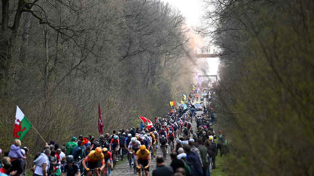 Paris-Roubaix 2024: Schikane vor Wald von Arenberg