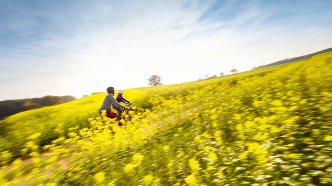 S-Pedelecs: 8 schnelle Modelle im Highspeed-Test