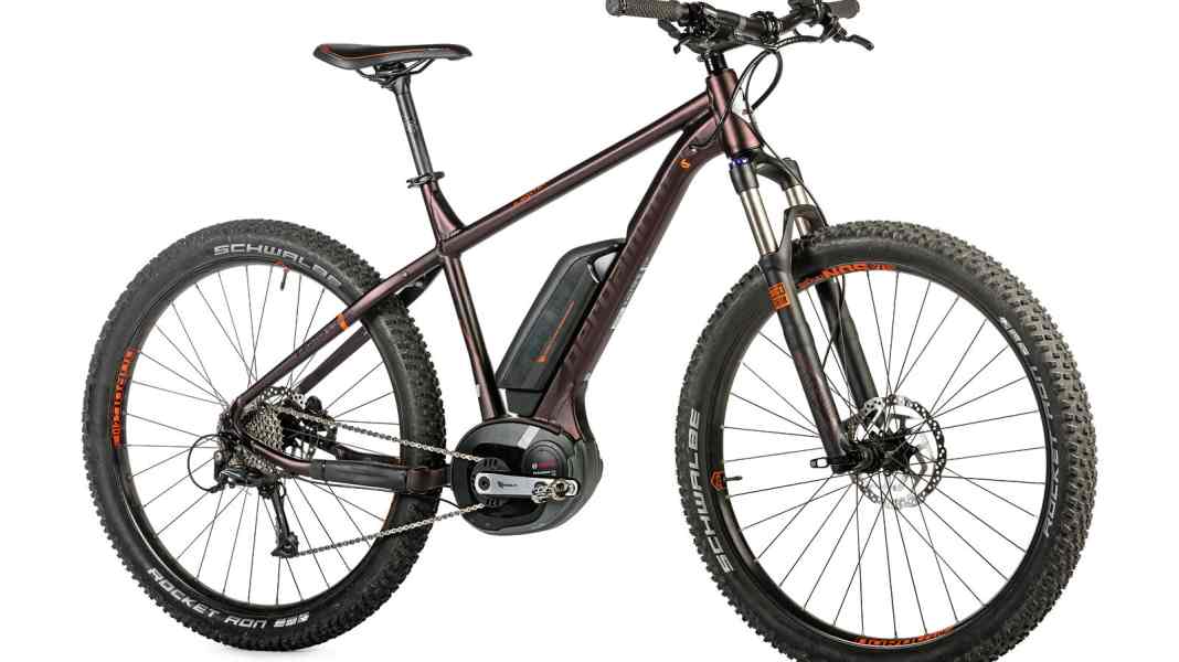 E-Hardtail Bergamont E-Roxter 6.0 Plus im Test