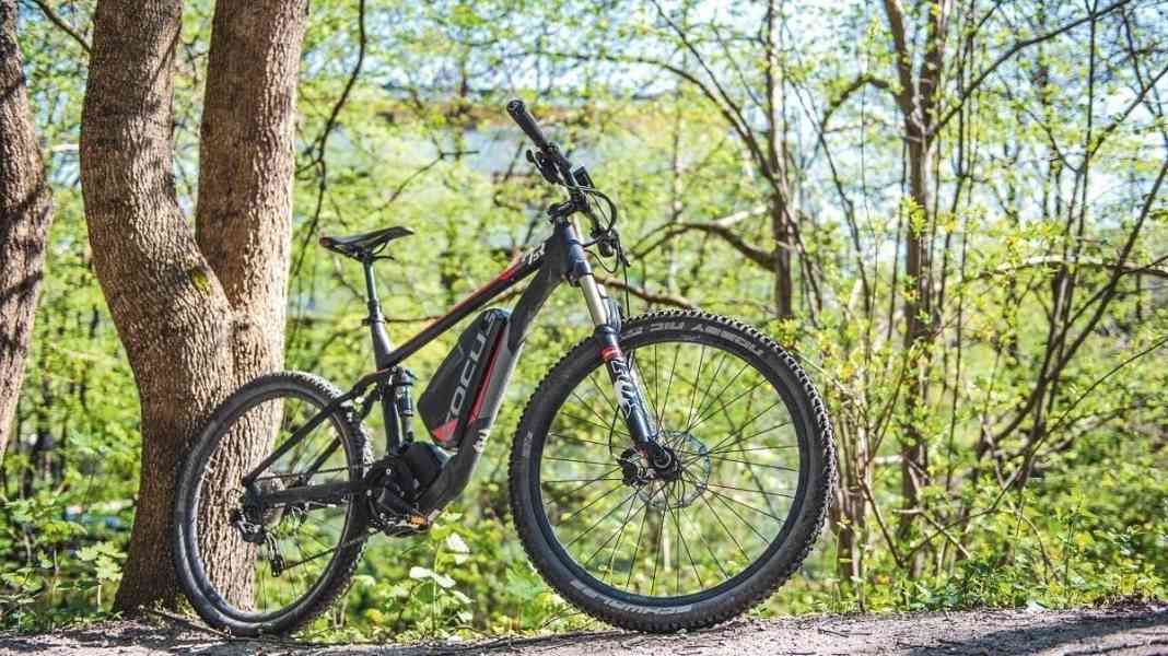 Dauertest: das E-MTB Focus Thron