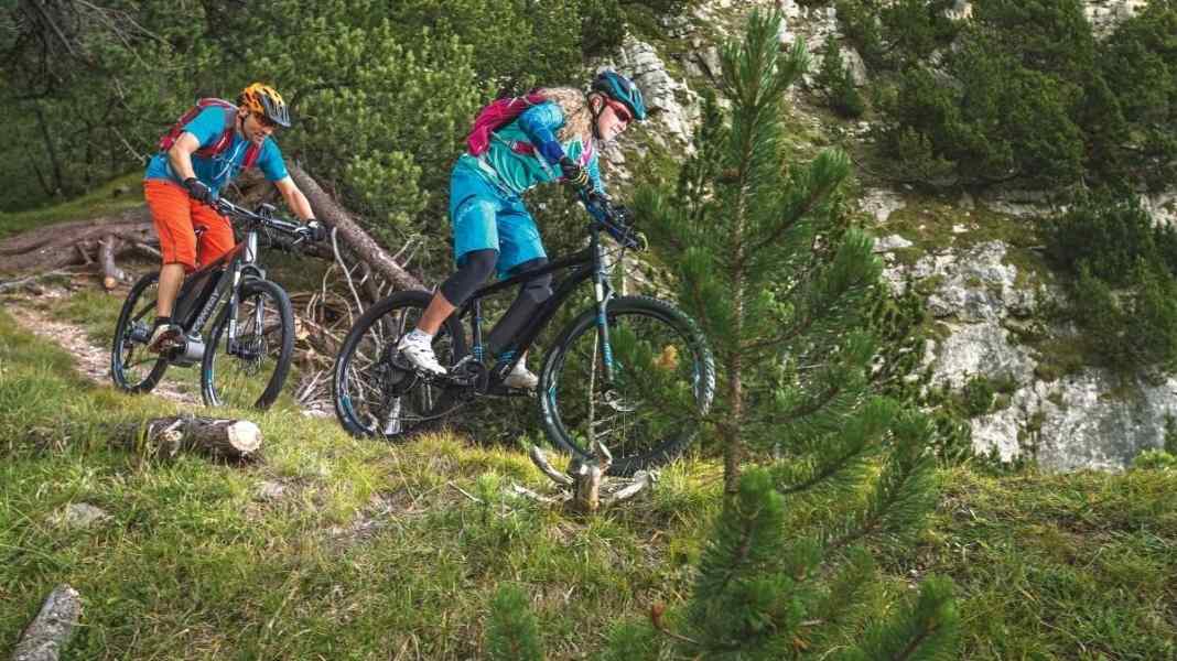 E-MTB-Test: sechs Hardtails ab 2500 Euro