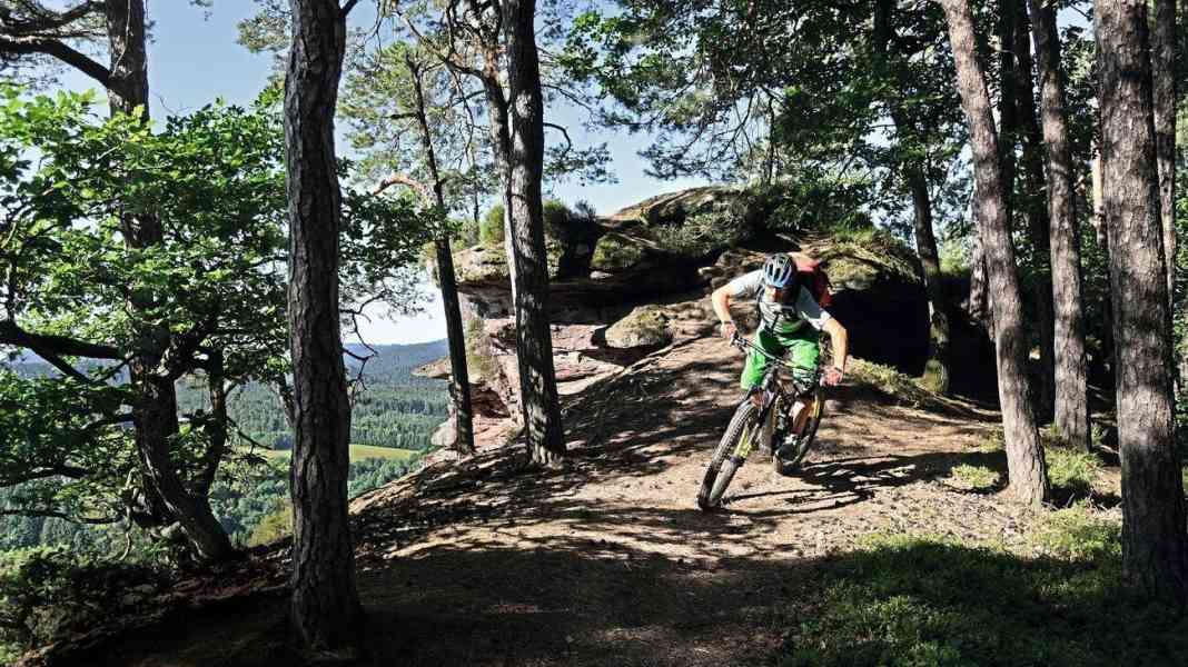 2 Singletrails für E-MTB Touren im Pfälzerwald