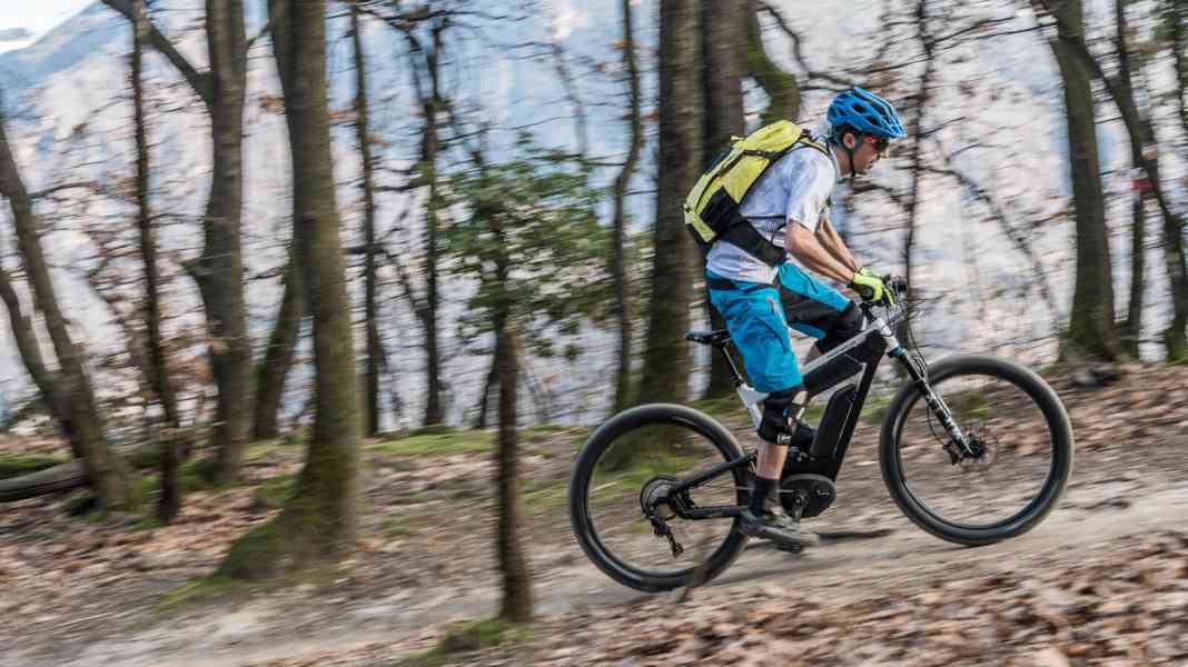 Transalp-Bike Riese & Müller Delite Mountain im Test