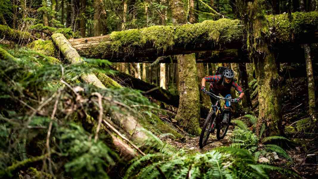 Squamish: Steffi Marth im Trail-Paradies