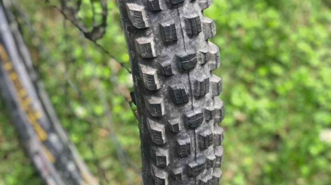 Reifen: Maxxis Assegai 2.5WT Exo 3C MT 29"