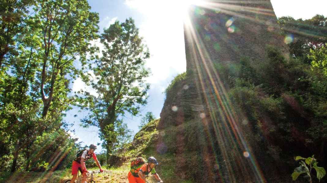 3 Mittelgebirgs-Touren im Westerwald für Mountainbiker