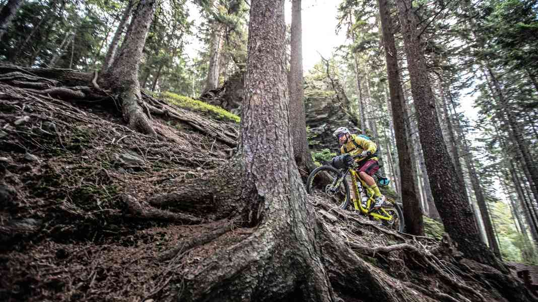 Deutschland-Trail – Teil 2: von Thüringen bis Hamburg