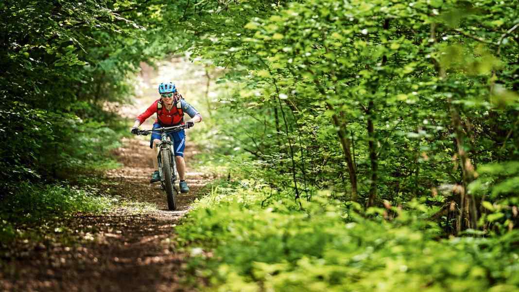 Spessart: MTB-Touren-Tipps in Bad Orb
