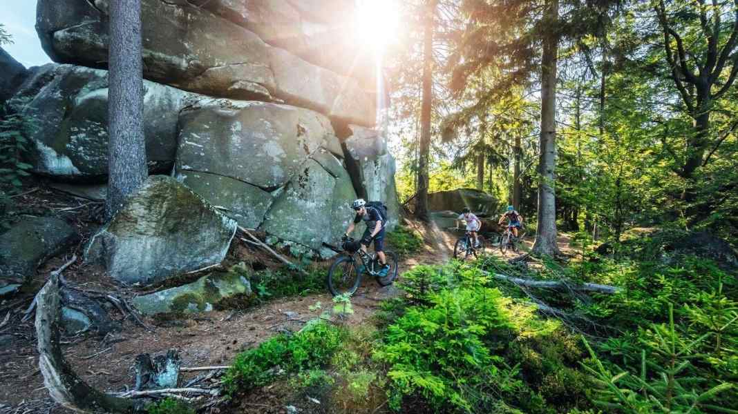 Die 14 besten Mountainbike-Trails in Deutschland