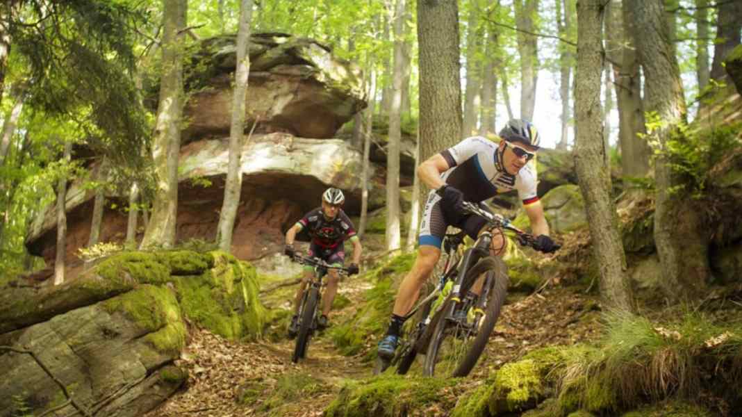 Profi-Revier: Karl Platts Hometrails