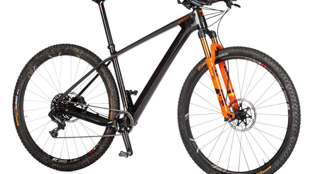 Radon Jealous 9.0 SL im Test