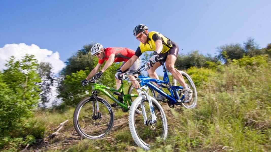 29 gegen 26 Zoll 2010