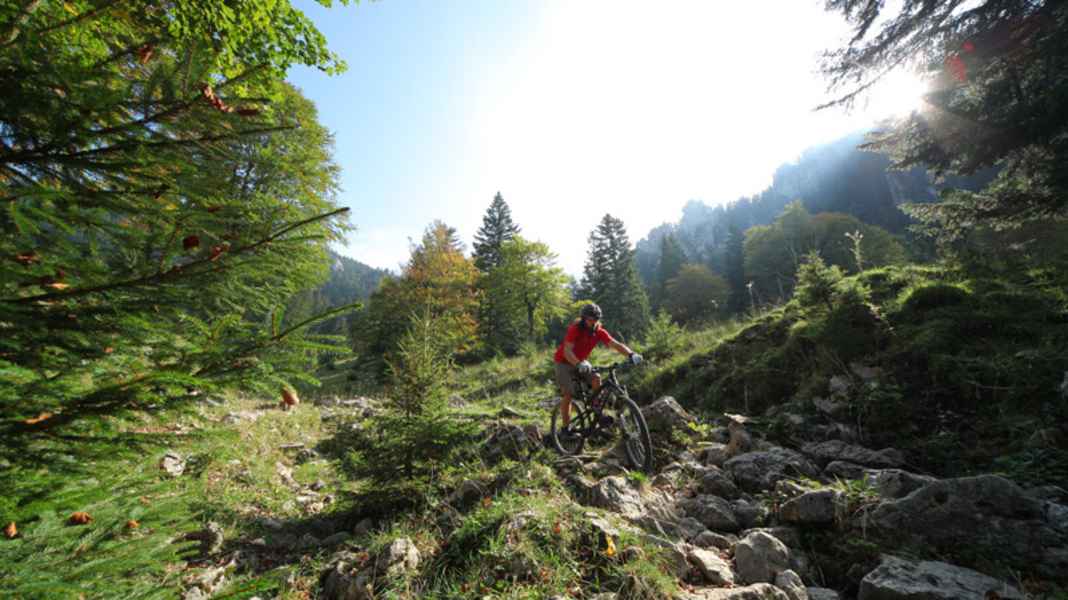 Deutschland: MTB-Trail an der Benediktenwand