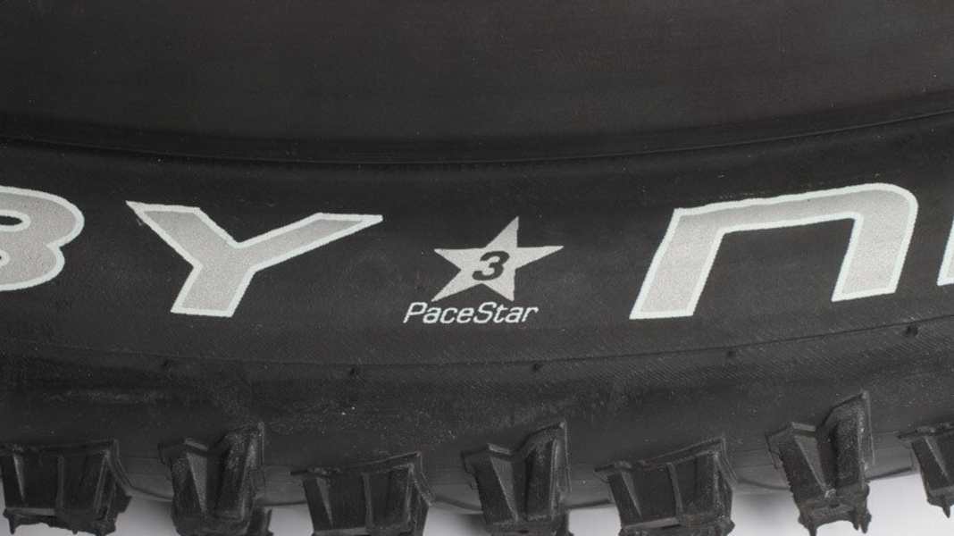 Schwalbe Evolution, Performance & Active: Was ist das?