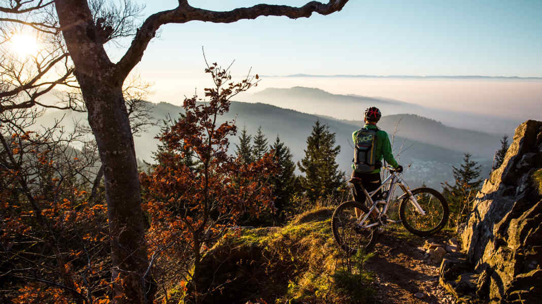 Bike-Reviere im Vergleich: Schwarzwald vs. Pfälzerwald