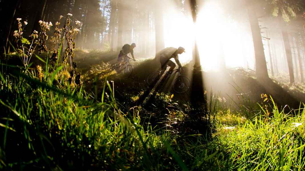 Die besten Mountainbike-Trails und Spots im Schwarzwald