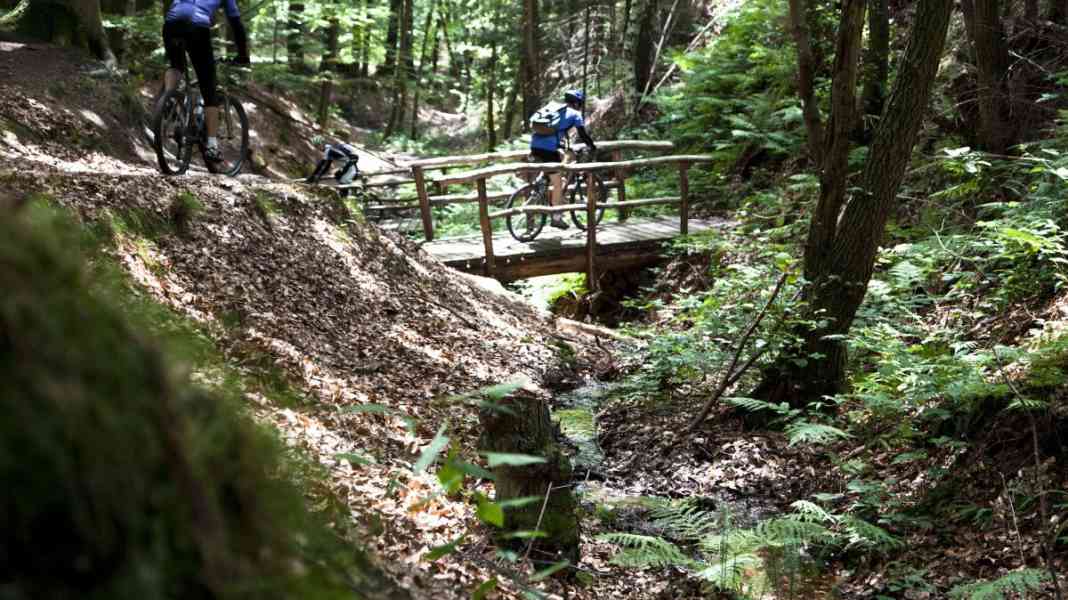 DIMB prämiert Mountainbikepark Pfälzerwald