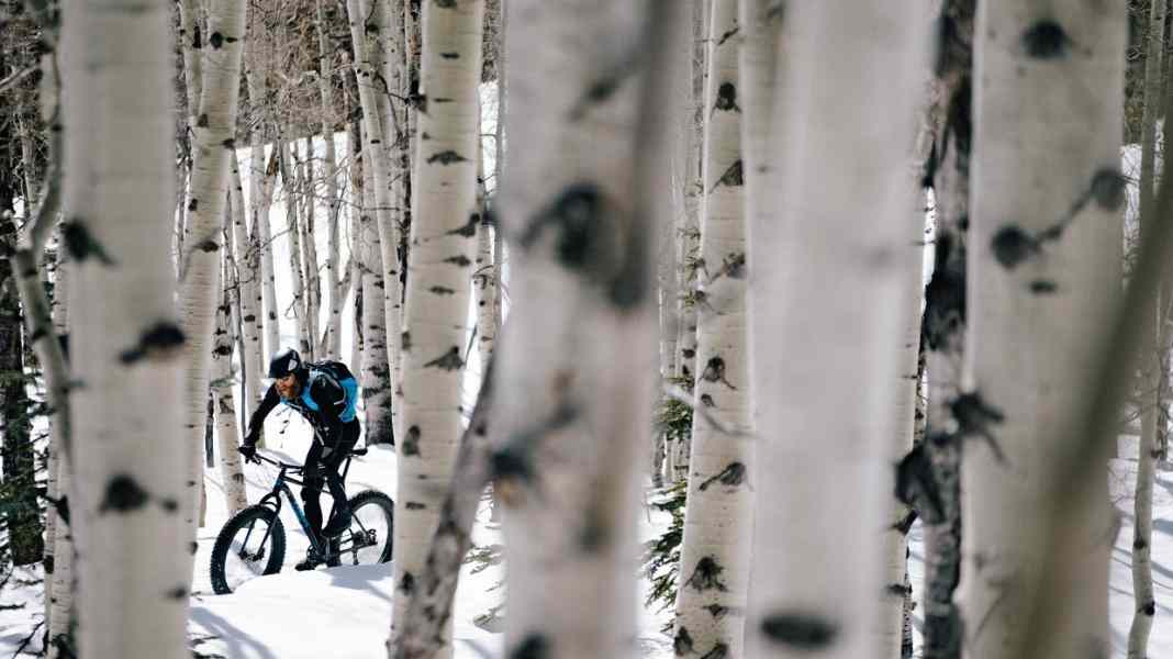 Warm und trocken: 8 Softshell-Jacken im Vergleich