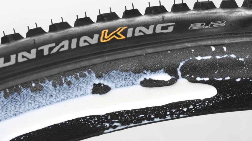 Welche Reifen kann man schlauchlos fahren?